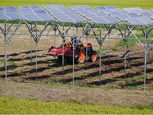 태양광발전 병행농업[사진=중소기업옴부즈만]
