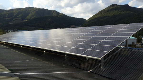 태양광 기업들은 과열되고 있는 EPC 시장에 대한 적절한 규제는 필요하다고 주장한다. [사진=현대에코쏠라]