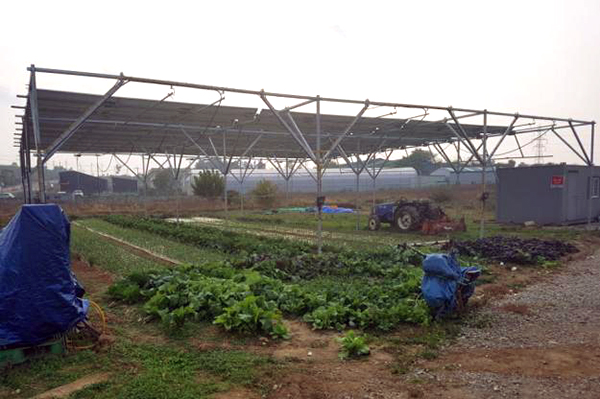 재새엥너지 3020 정책에는 농사와 태양광발전을 병행하는 '영농형 태양광'에 대한 내용이 포함돼 있다. [사진=녹색에너지연구원]