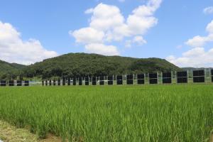[포토] 경북 군위군 소재 ‘농어촌형 펜스 태양광발전시스템’